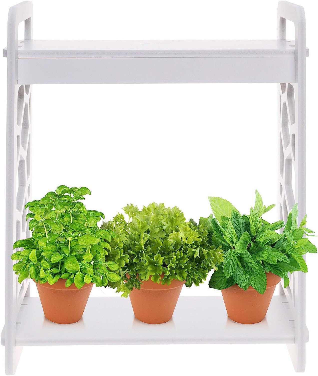5 minihuertos para cultivar en casa