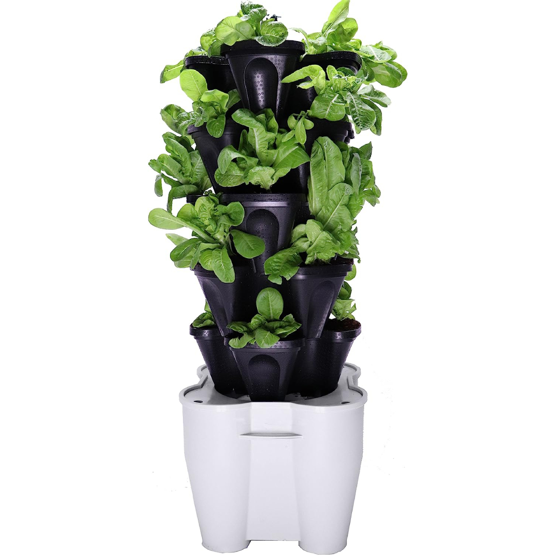 5 minihuertos para cultivar en casa