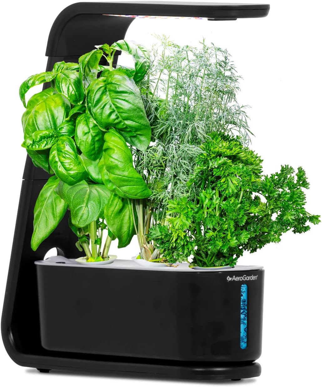 5 minihuertos para cultivar en casa