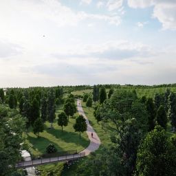Nuevo parque central Valdebebas